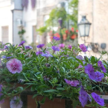 레체 Caminanti B&B 외부 사진