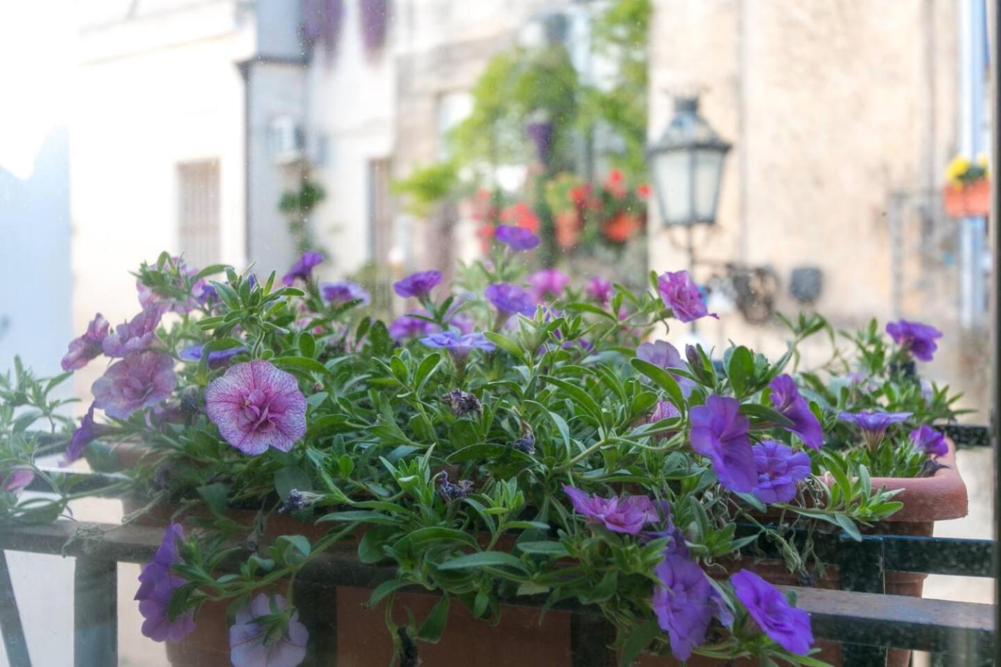 레체 Caminanti B&B 외부 사진